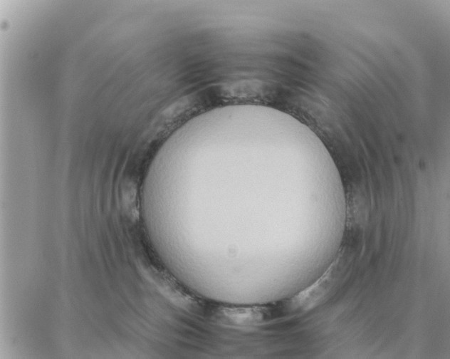 X0000087320187200705041724