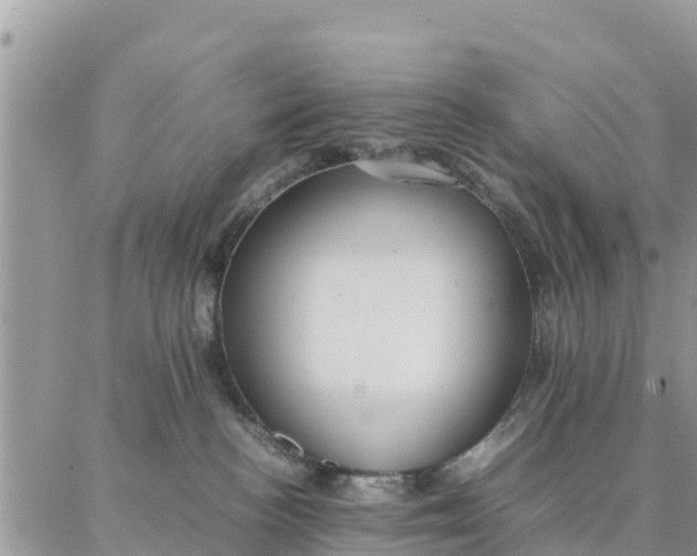 X0000087320188200705041724