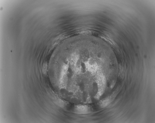 X0000087320189200705041724