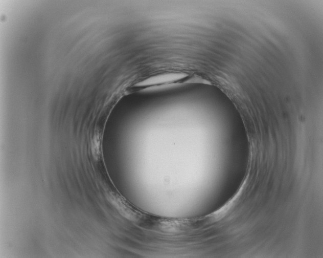 X0000087320190200705041724