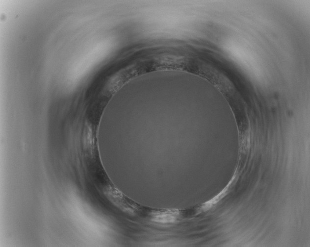 X0000087320191200705041724