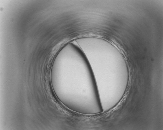 X0000087320193200705041723