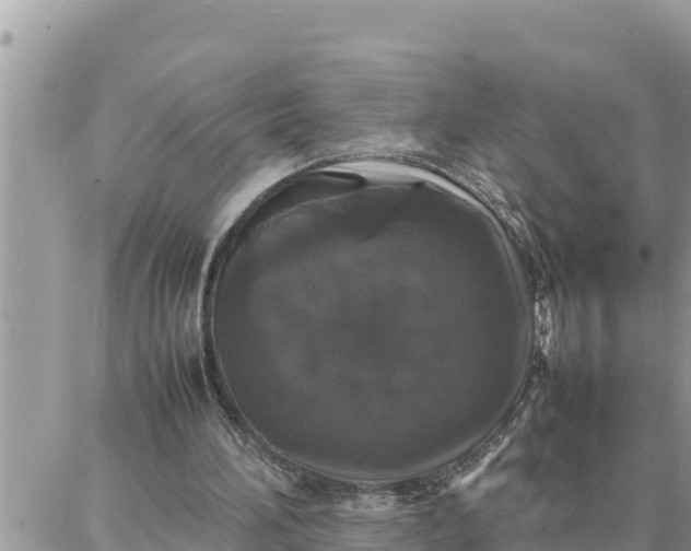 X0000087320196200705041723