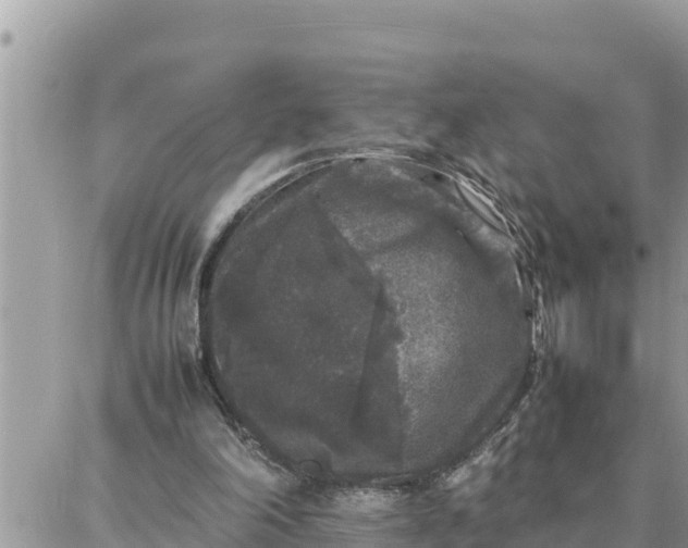 X0000087320198200705041723