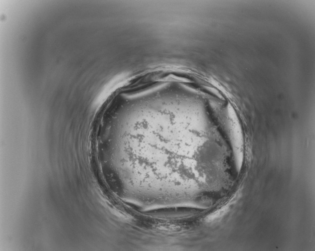 X0000087320199200705041723