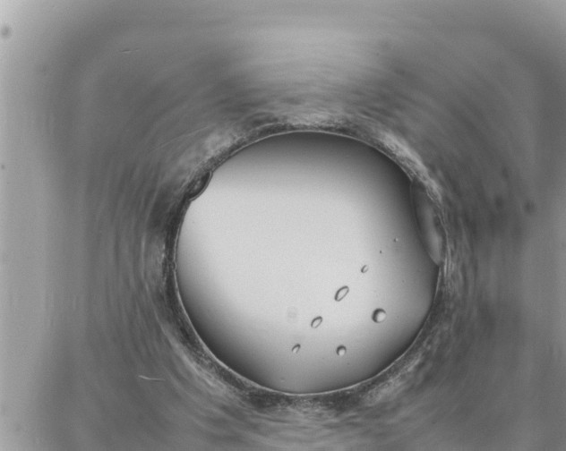 X0000087320201200705041723