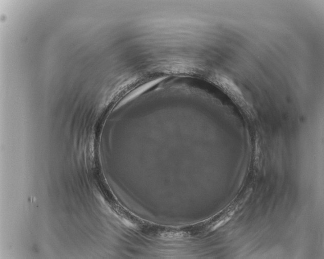 X0000087320202200705041723