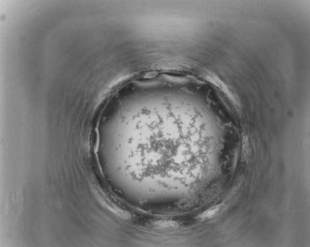 X0000087320203200705041723