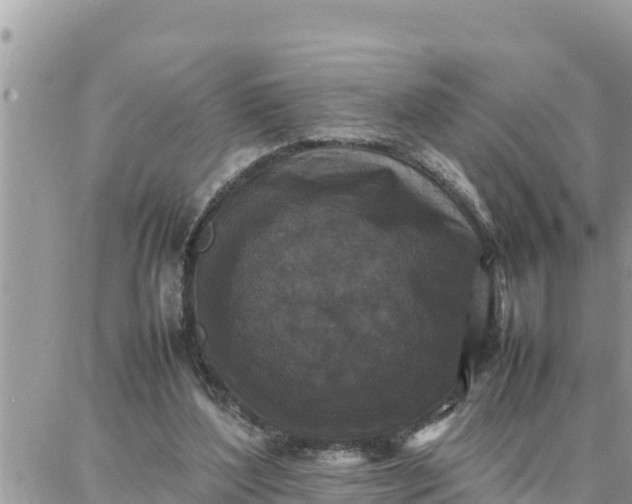 X0000087320204200705041723