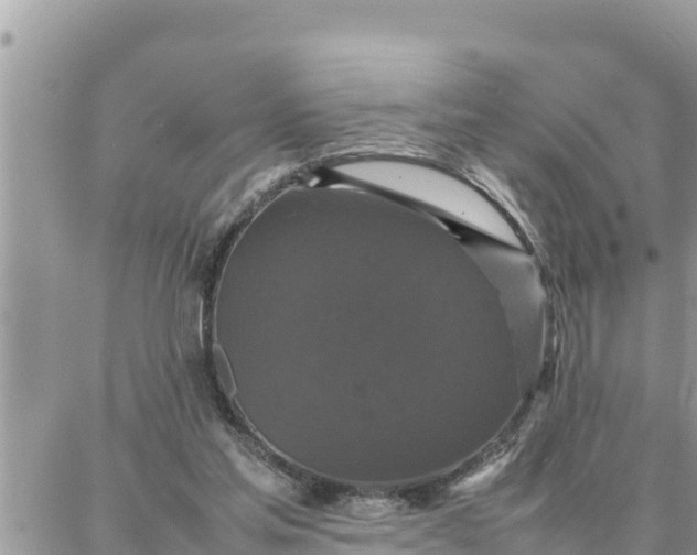 X0000087320205200705041723