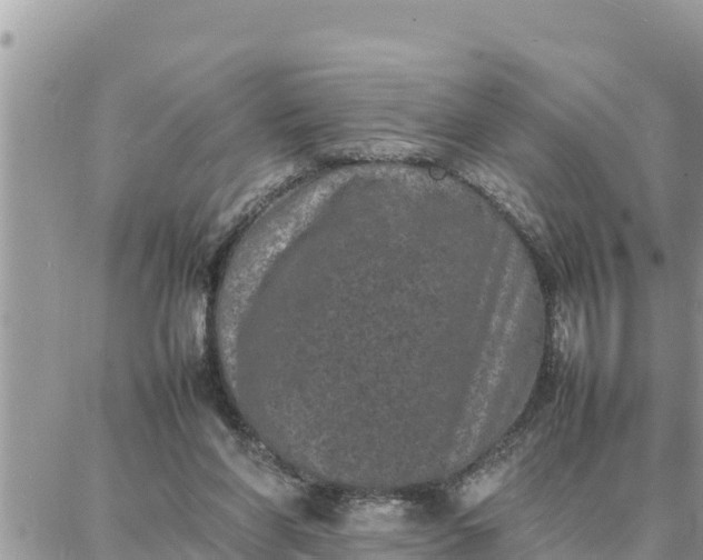 X0000087320206200705041723