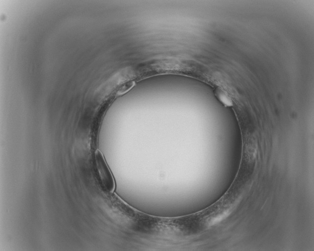 X0000087320207200705041723