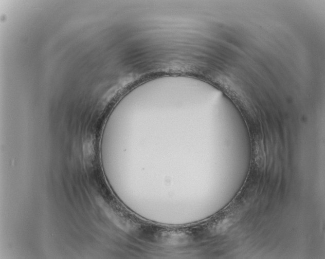 X0000087320208200705041723