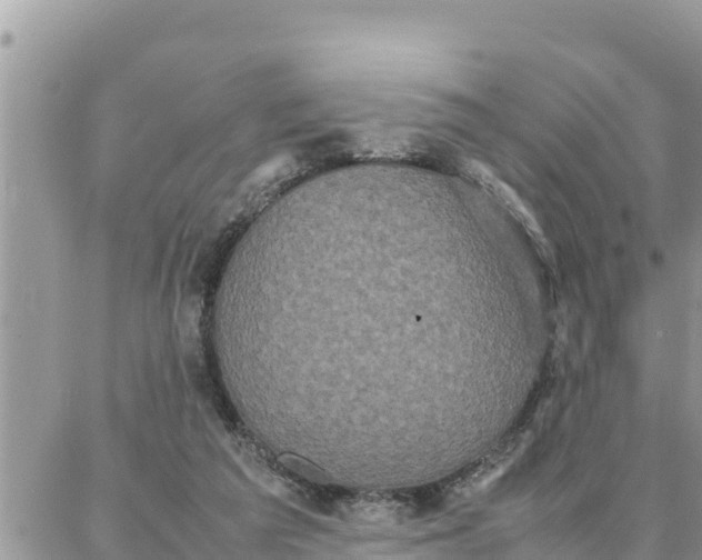 X0000087320209200705041723