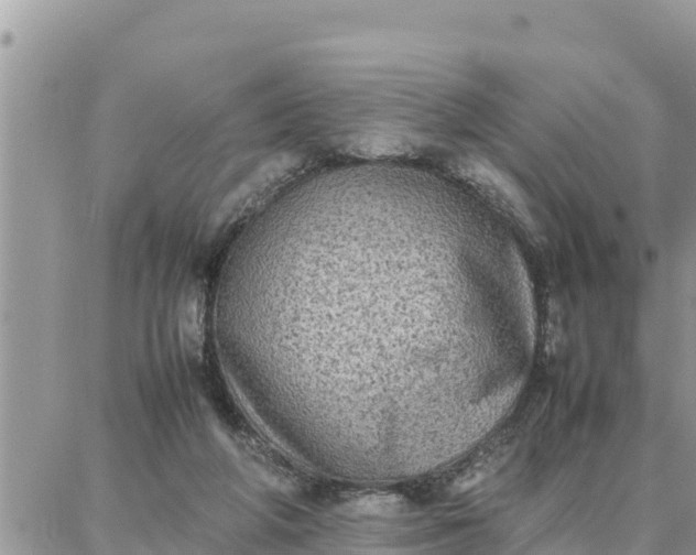 X0000087320210200705041723