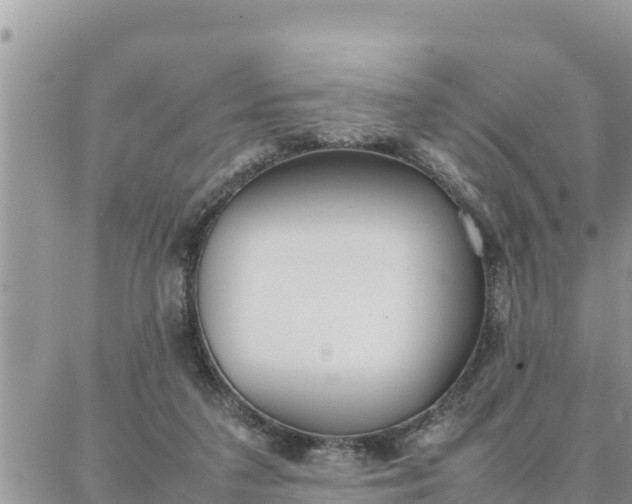 X0000087320211200705041723