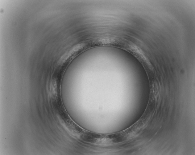 X0000087320212200705041723