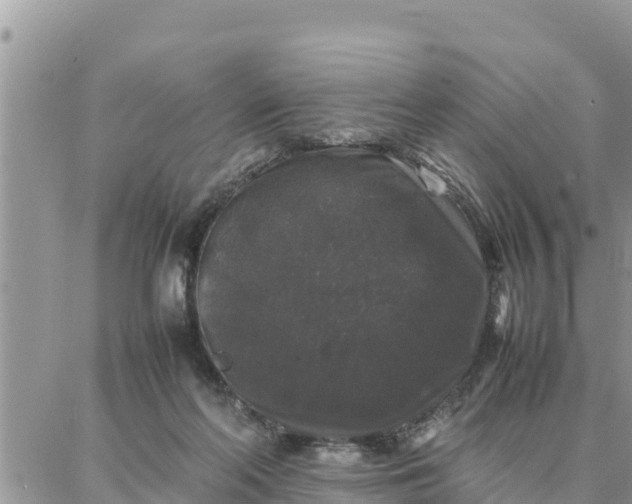 X0000087320214200705041723