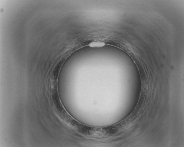 X0000087320215200705041722