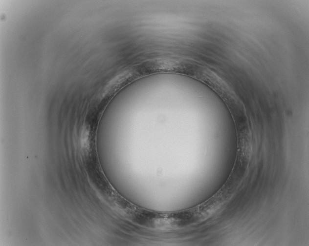 X0000087320216200705041722