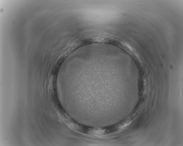 X0000087320217200705041722