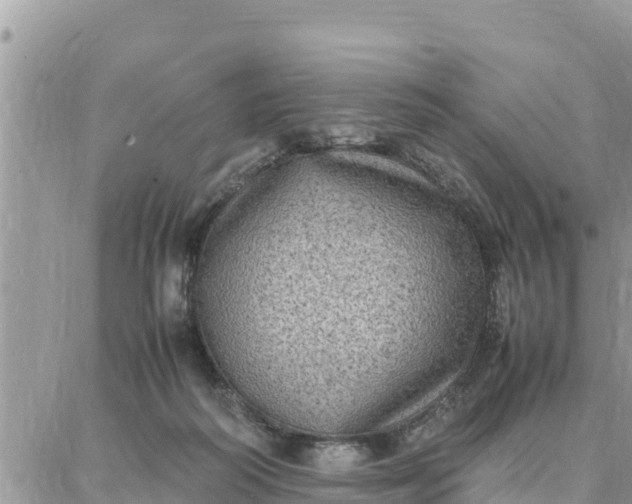 X0000087320218200705041722