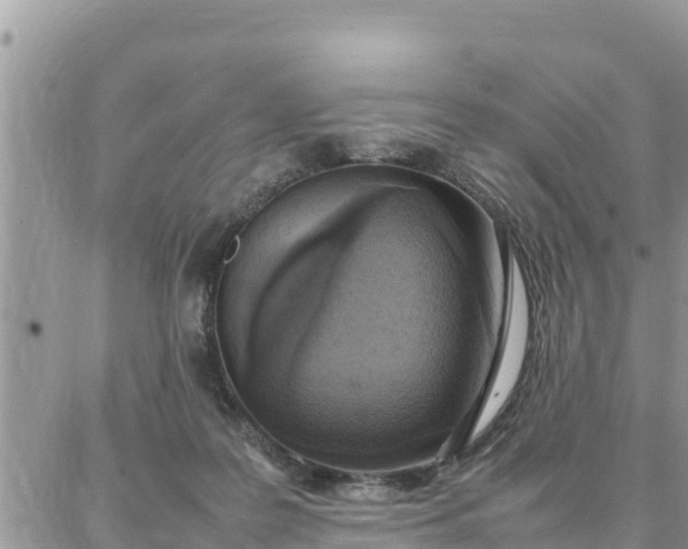 X0000087320219200705041722