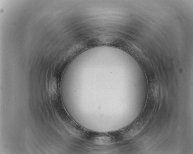 X0000087320220200705041722