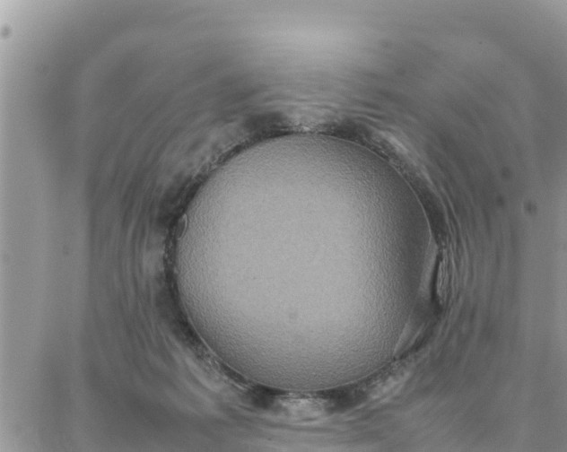 X0000087320221200705041722