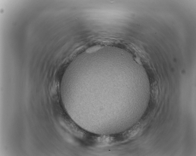 X0000087320225200705041722