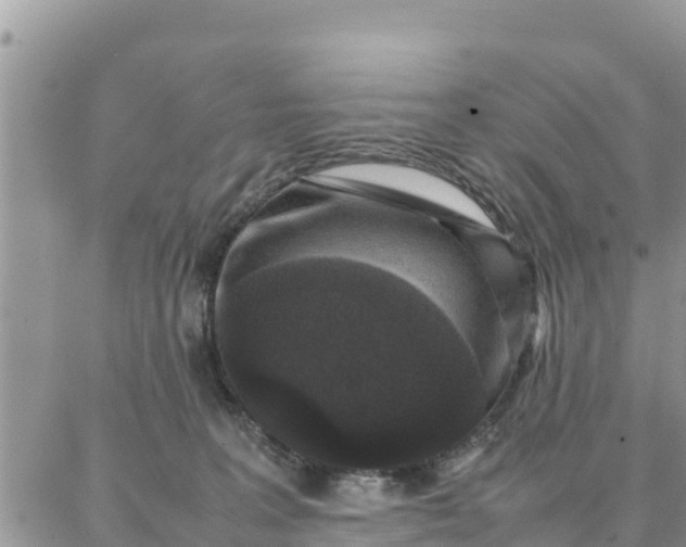 X0000087320227200705041722