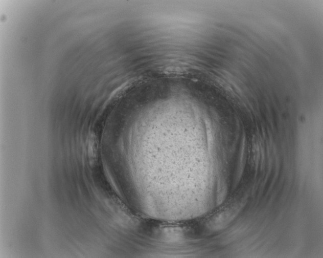 X0000087320228200705041722