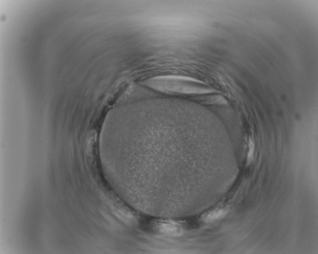 X0000087320229200705041722