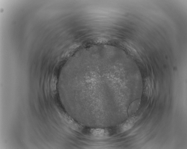 X0000087320230200705041722