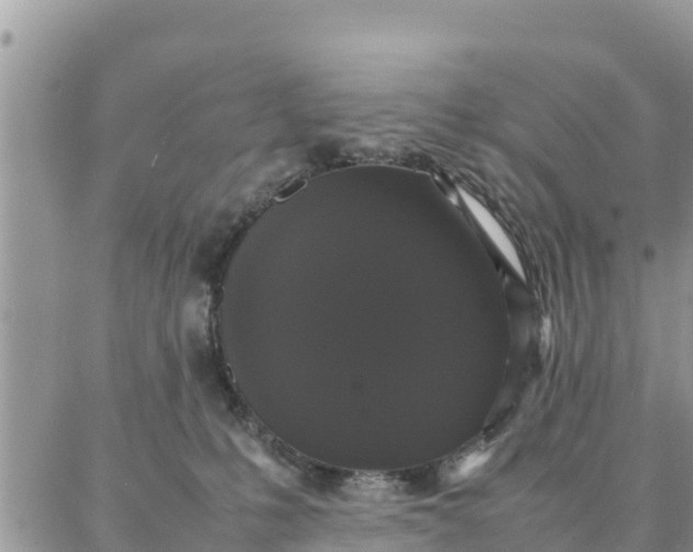 X0000087320231200705041722