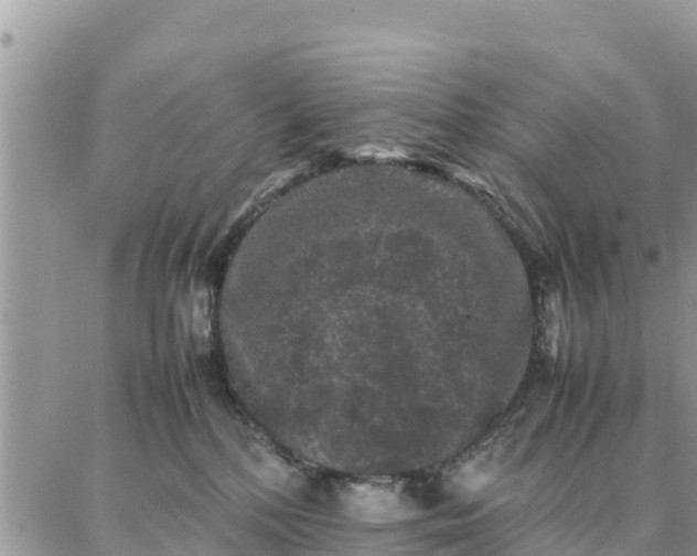 X0000087320232200705041722