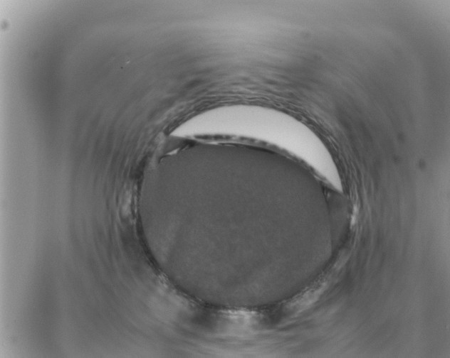 X0000087320233200705041722