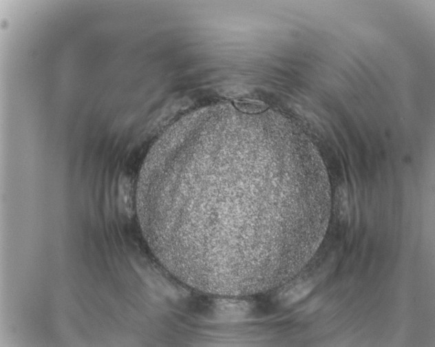 X0000087320234200705041722