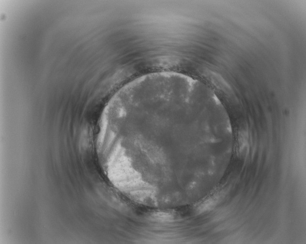 X0000087320236200705041722