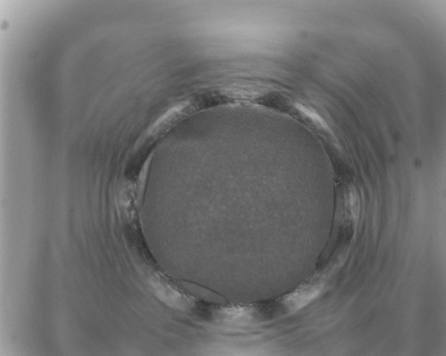 X0000087320237200705041722