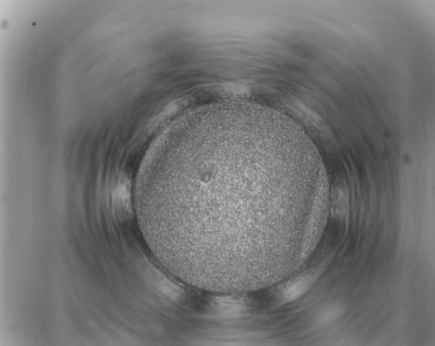 X0000087320238200705041722