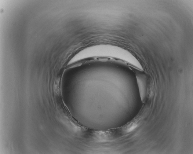 X0000087320239200705041722