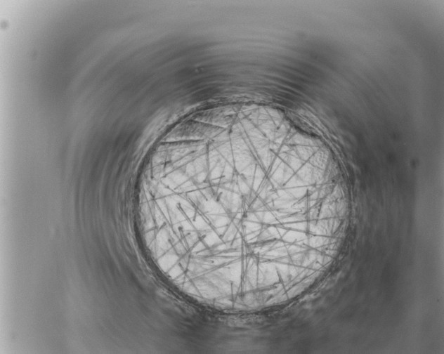 X0000087320241200705041721