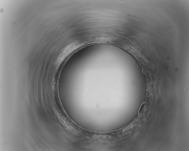 X0000087320242200705041721