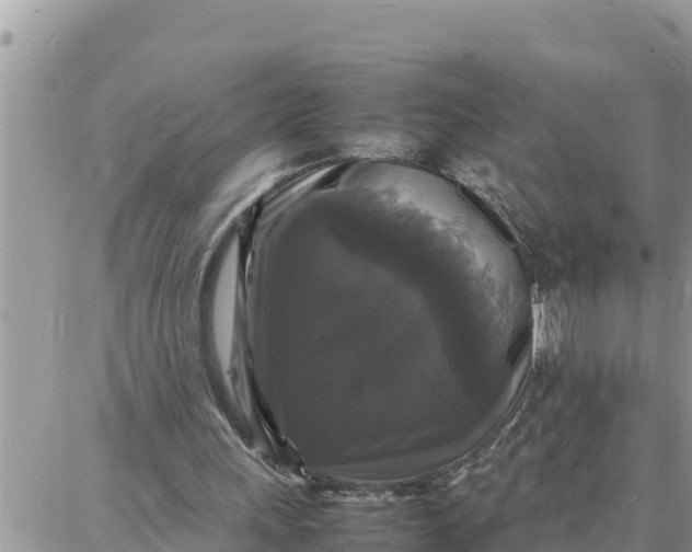 X0000087320243200705041721