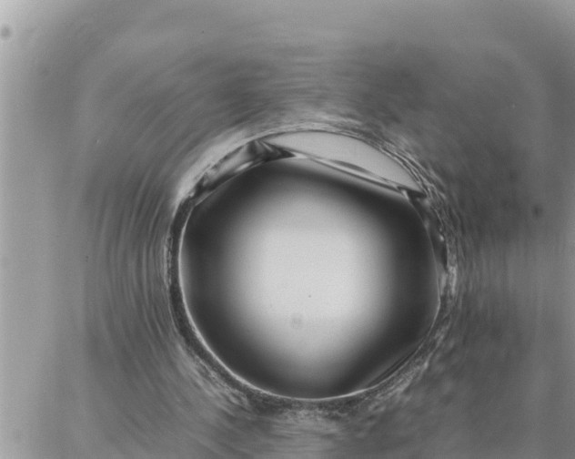 X0000087320244200705041721