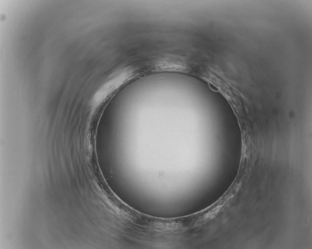 X0000087320245200705041721