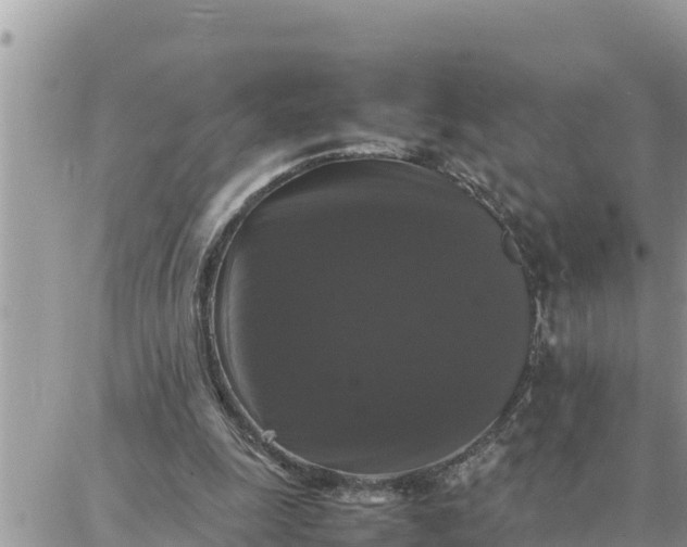 X0000087320247200705041721