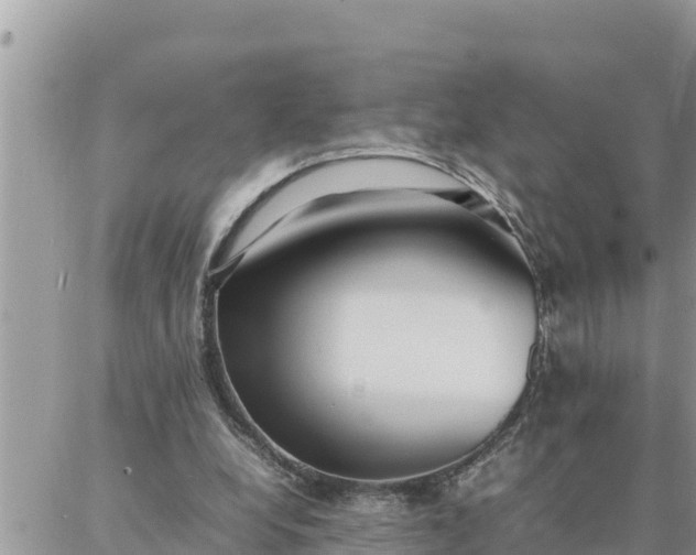 X0000087320248200705041721