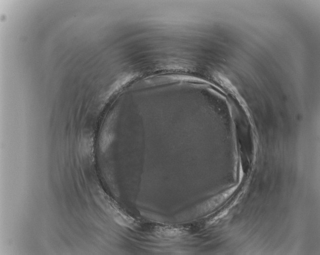 X0000087320249200705041721